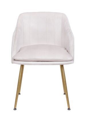 Modern Fabric Dining Chair in White Color