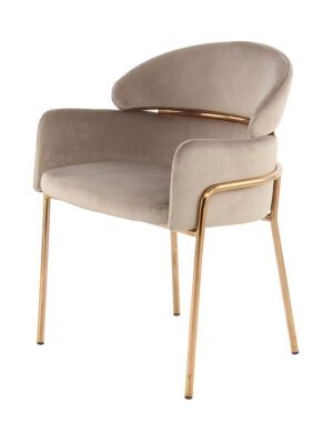 Modern Velvet Dining Chair - LuxeBlend